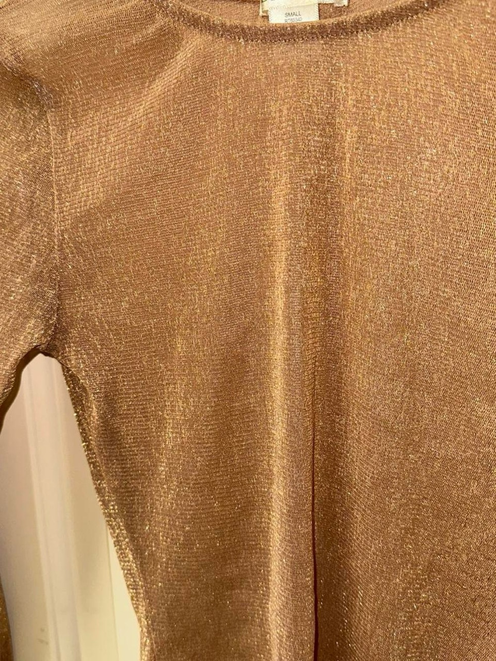 Tan and gold glitter long sleeve mesh crop size top. - Picture 5 of 5
